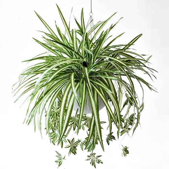 Btomtd 23.6" 3pcs Large Artificial Hanging Plants, Fake Silk Chlorophytum Plant, Faux Green Vine for Family Garden and Office Decoration, Fake Plants and Fake Flowers Decor, Green
