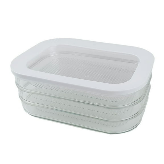Btomtd Food Grade Refrigerator Preservation Box with Transparent Lid, Ginger and Garlic Storage Containers, Meat and Hot Pot Organizer Storage Box for Kitchen, Size 3000ml, 3-Layer