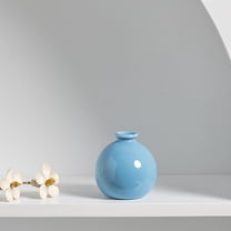 Btomtd Mini Hydroponic Vase for Flowers and Home Decor, Living Room and Foyer Decoration Pieces Flowerpot, Soft Furnishings Style Plant Vases, Blue