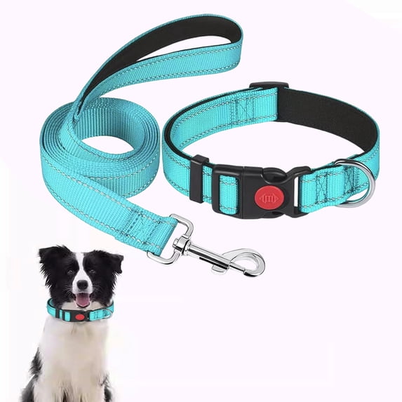 Btomtd Reflective Dog Collar and Leash Set, 5 FT Long, Safety Locking Buckle Adjustable Nylon Leash for Medium Dogs Walking (Blue)