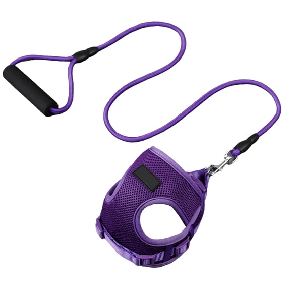 Btomtd Sandwich Mesh Chest and Back Dog and Cat Harness and Leash, Walking Strap for Small Medium Sized Dogs and Cats, 4 FT Long (Purple)
