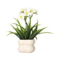 thumbnail image 1 of Btomtd Simulated Flowers and Plantss with Ceramic Vase, 9.4 Inch Fake Plantss Bonsai for Living Room Desktop Entrance Floral Decor (White), 1 of 7