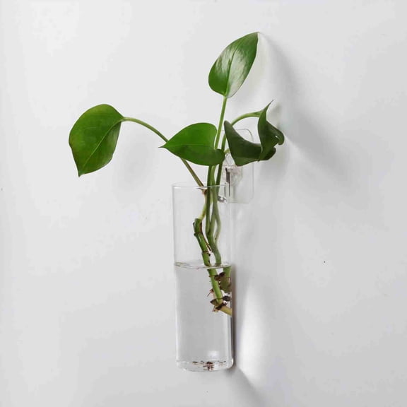 Btomtd Wall Mounted Glass Planter Tubes, Clear Hanging Vase for Hydroponics, Propagation Containers and Flower Holders for Indoor Garden Decor, Clear
