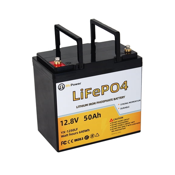 BtrPower 12V 50Ah LiFePO4 Lithium Iron Phosphate Battery Pack for RV Marine Solar System