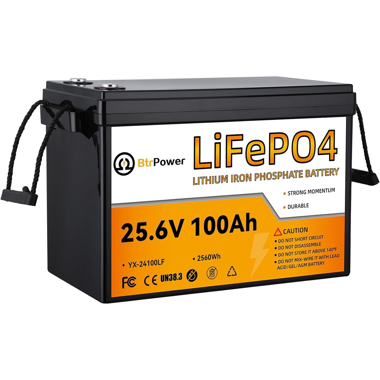 BtrPower 24V 100Ah LiFePO4 Lithium BtrPower Battery for RV Marine Solar Panel System 100A BMS