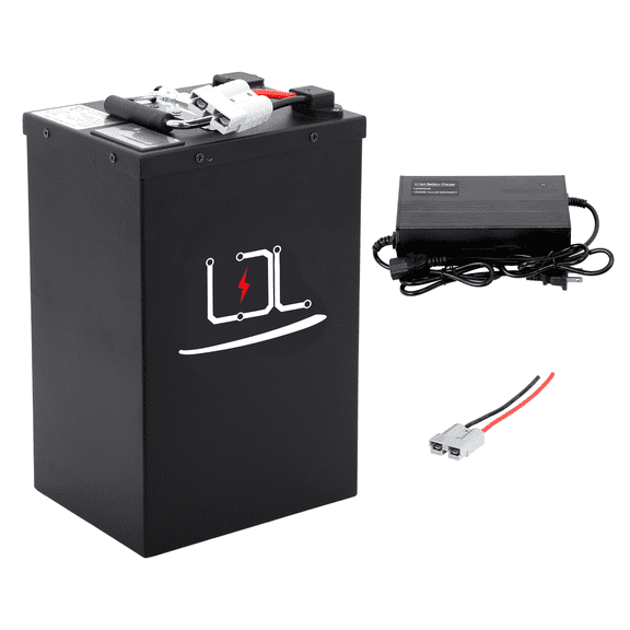 BtrPower 48V 40Ah Ebike Battery Lifepo4 Battery Pack for Adult Electric Bicycle 0-2000W Motor, with 5A Charger 50A BMS