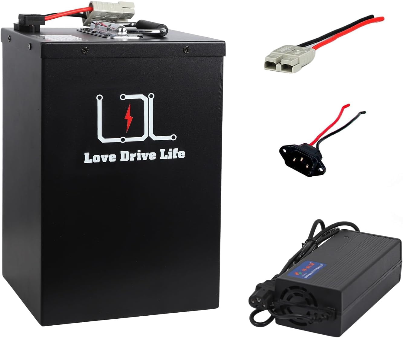 BtrPower 60V 30Ah LiFePO4 Battery Pack for 1500W Motor with 30A BMS