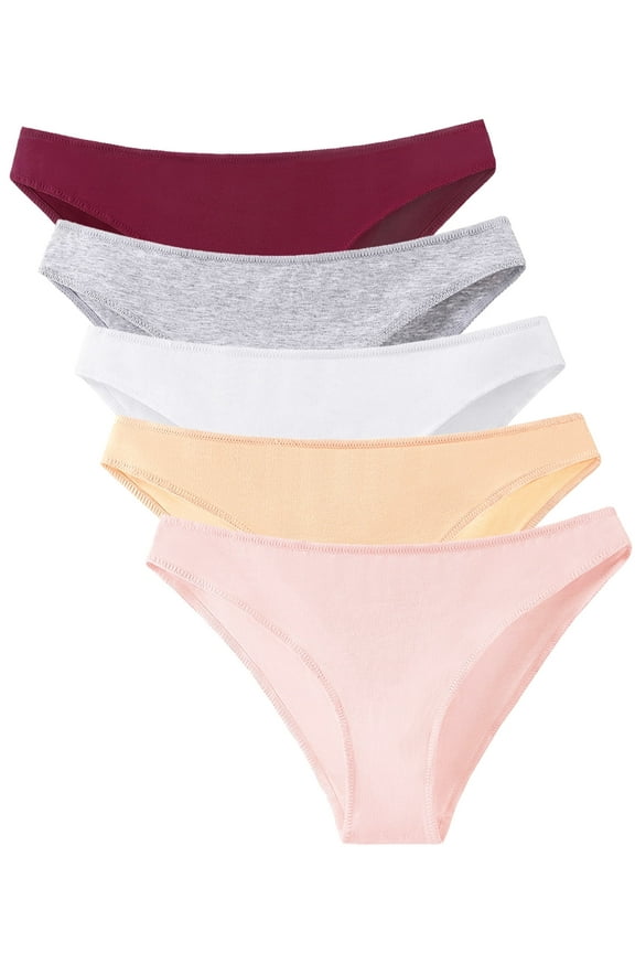 Cotton Bikini Underwear High Cut No Show Cheeky Panties for Women Ladies Hipster 5 Pack,Size 4