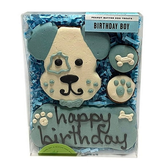 Bubba Rose Biscuit smbboy Birthday Boy Box