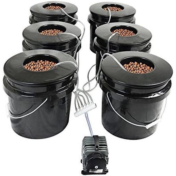 Bubble Brothers DWC Hydroponic System - 6-Site Classic$$Garden & Patio