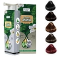 thumbnail image 1 of Bubble Hair Dye Shampoo, Plant Extract For Grey Hair Color Bubble Dye.(Wine Red), 1 of 9