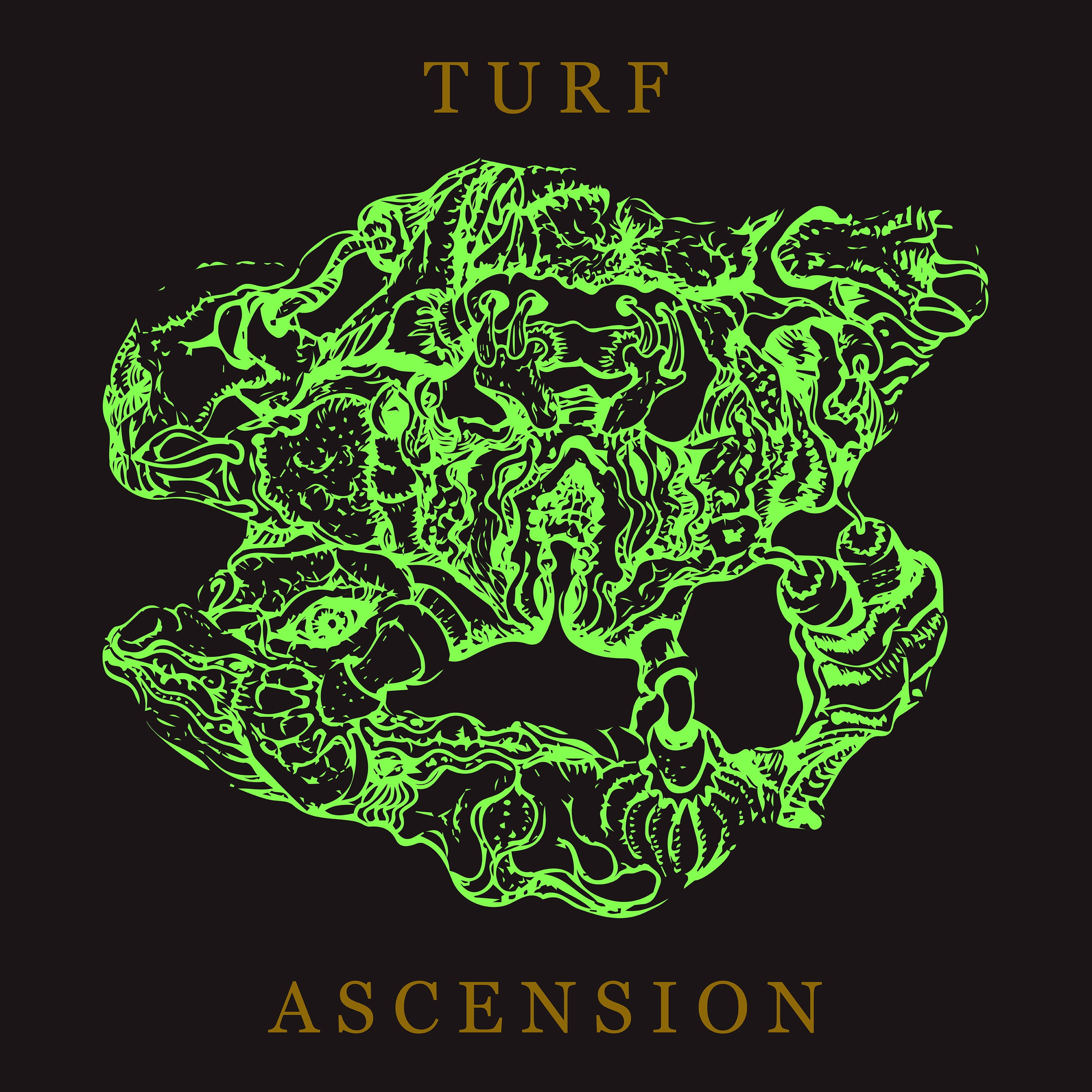 Bubblemath - Turf Ascension - Music & Performance - CD
