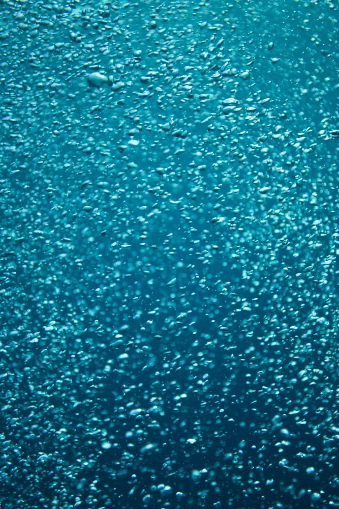 Bubbles Underwater Canvas Art - Stuart Westmorland Design Pics (12 x 18)
