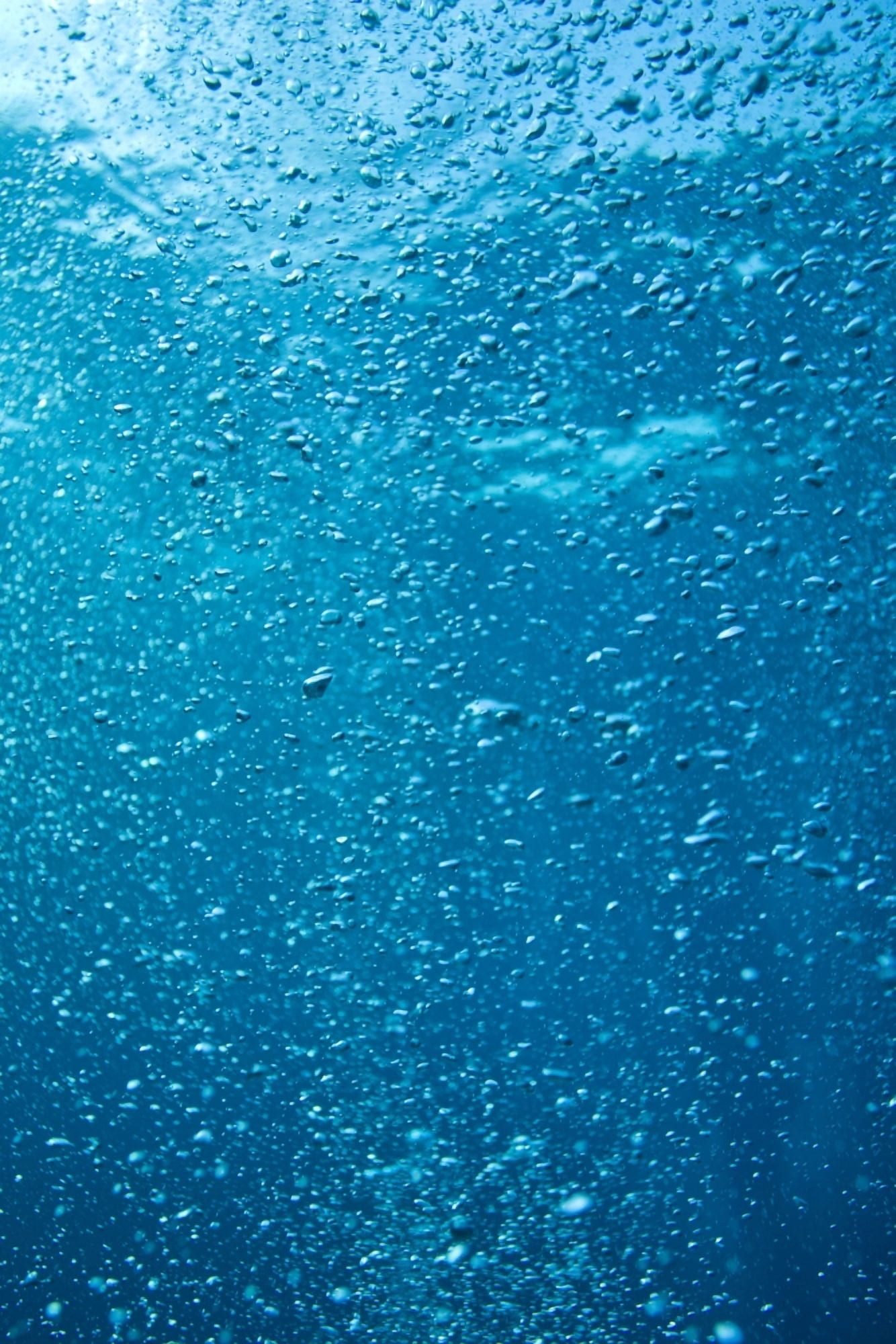 Bubbles Underwater Canvas Art - Stuart Westmorland Design Pics (24 x 36)