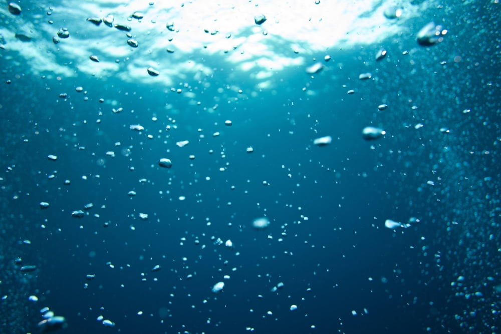 Bubbles Underwater Canvas Art - Stuart Westmorland Design Pics (36 x 24)