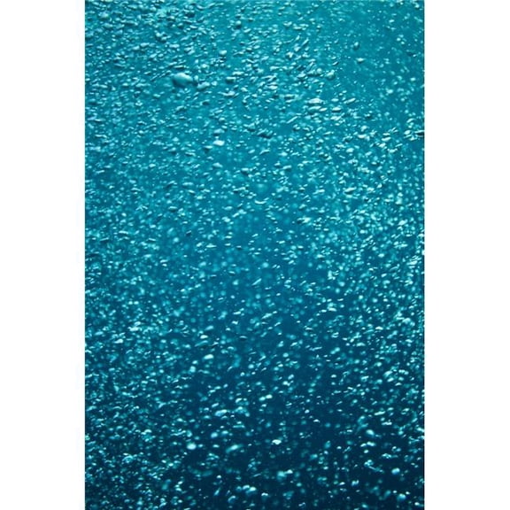 Bubbles Underwater Poster Print, Large - 24 x 36