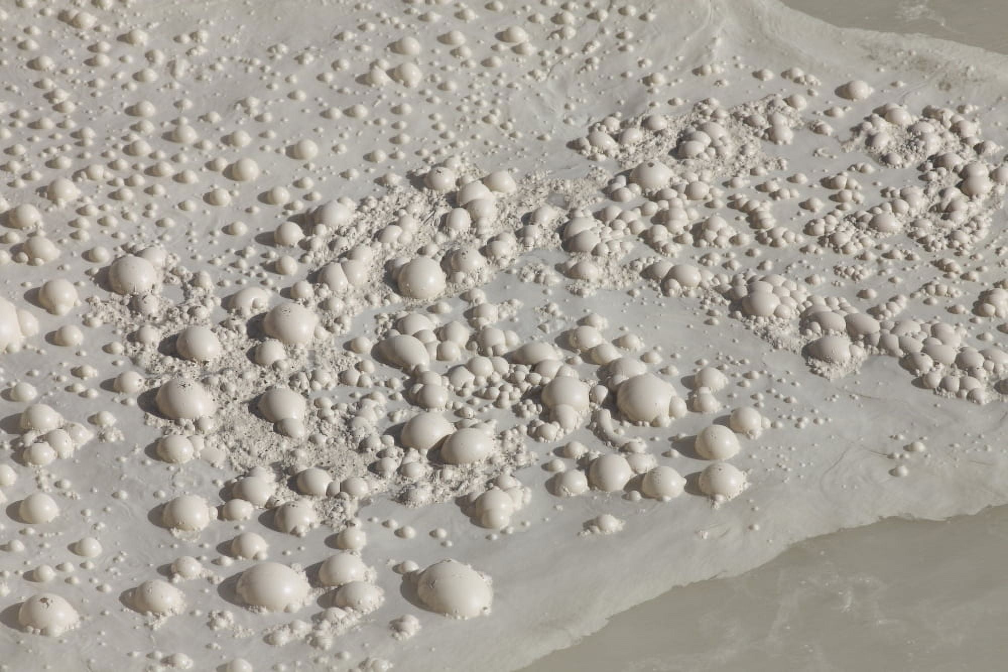 Bubbles on surface of Sulphur Cauldron hot spring Yellowstone National Park Wyoming Canvas Art - Richard RoscoeStocktrek Images (35 x 23)