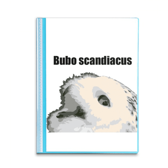 Bubo Scandiacus Bird White Book Sheet Protectors Portfolio Binder Folder