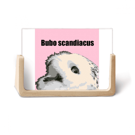 Bubo Scandiacus Bird White Photo Wooden Photo Frame Tabletop Display