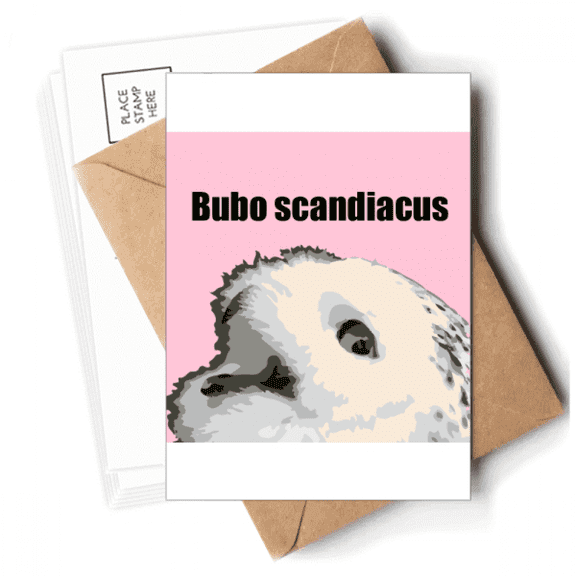 Bubo Scandiacus Bird White Postcards Envelopes Blank Note Cards Mailing