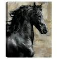 thumbnail image 1 of Bucephalus by Tania Bello Canvas Art Print, 1 of 2