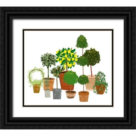 Bucheli, Jen 30x26 Black Ornate Wood Framed with Double Matting Museum Art Print Titled - Topiaries