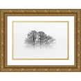 thumbnail image 1 of Buchmann, Oliver 14x11 Gold Ornate Wood Framed with Double Matting Museum Art Print Titled - A Hazy Shade Of Winter, 1 of 4