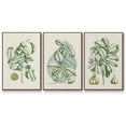 thumbnail image 1 of Buchoz Tropicals IX - Framed Premium Gallery Wrapped Canvas L Frame 3 Piece Set - Ready to Hang, 1 of 4