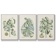 thumbnail image 1 of Buchoz Tropicals IX - Framed Premium Gallery Wrapped Canvas L Frame 3 Piece Set - Ready to Hang, 1 of 1