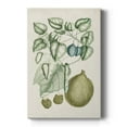 thumbnail image 1 of Buchoz Tropicals VIII Premium Gallery Wrapped Canvas - Ready to Hang, 1 of 9