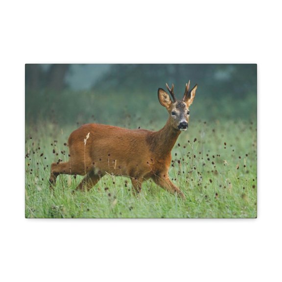 Buck Hunting Buck on Hunt Print Animal Wall Art Wildlife Canvas Prints Wall Art Ready to Hang Unframed