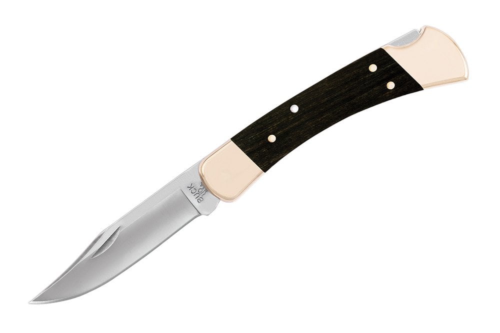 Buck Knives 110 Folding Hunter Lock Back Knife 
