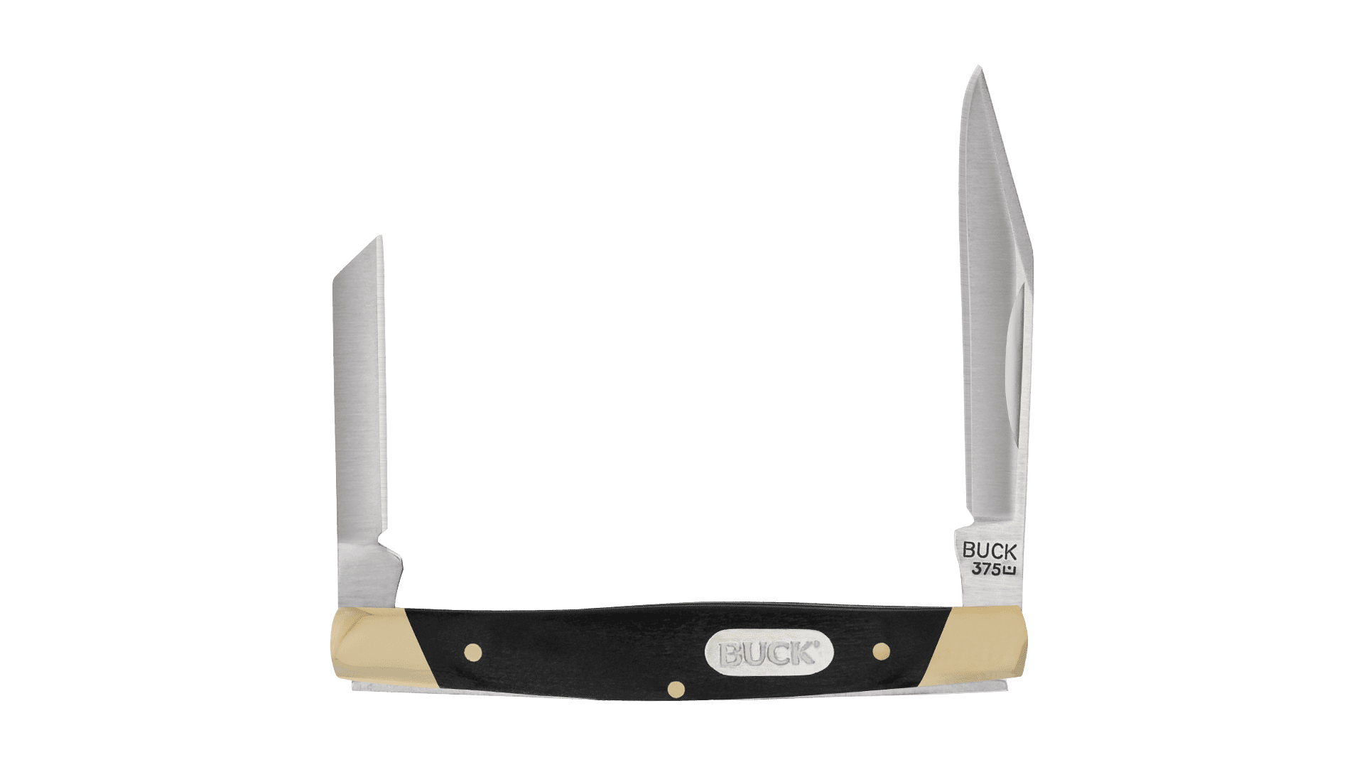 Buck Knives Deuce Knife with Pakawood Handle, Black
