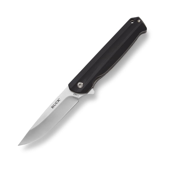 Buck Knives 251 Langford Folding Ball Bearing Flipper Liner Lock Pocket Knife with Removable Clip (Black)
