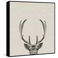 thumbnail image 1 of Buck Surprise Floater Framed Painting Print on Canvas, 1 of 6