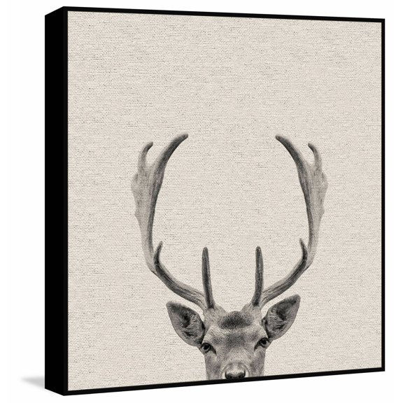 Buck Surprise Floater Framed Painting Print on Canvas