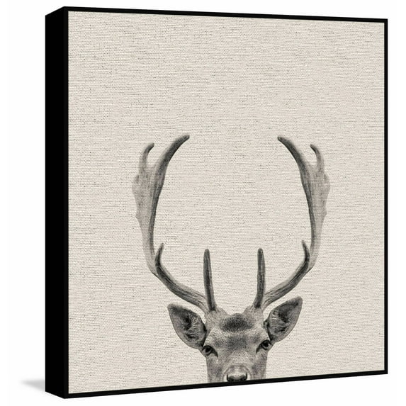 Buck Surprise Floater Framed Painting Print on Canvas