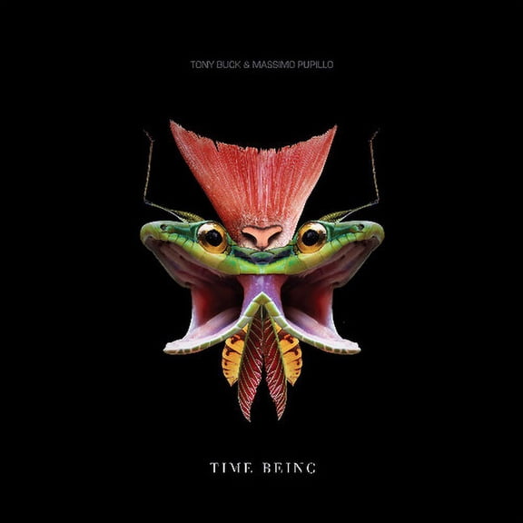 Buck,Tony & Pupillo,Massimo - Time Being - Music & Performance - Vinyl