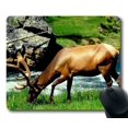 thumbnail image 1 of Buck ram deer tropical forest Mouse pads Gaming Mouse Pad 9.84x7.87 inches, 1 of 3