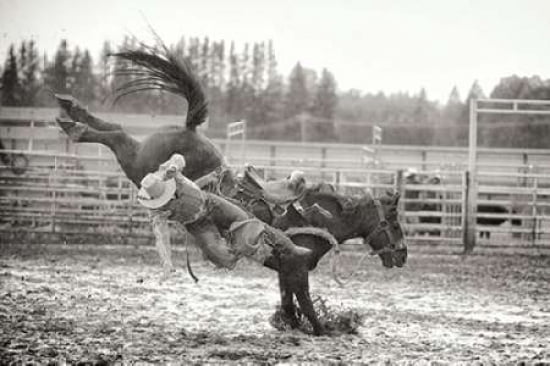 Bucked Off Canvas Art - Roberta Murray (24 x 36)