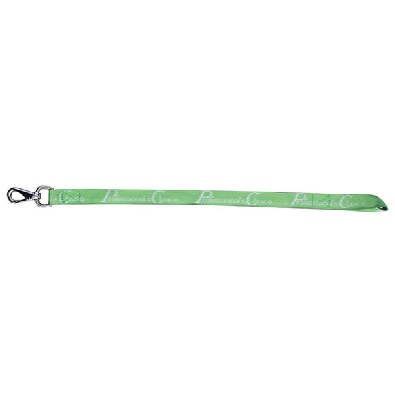 Bucket Strap