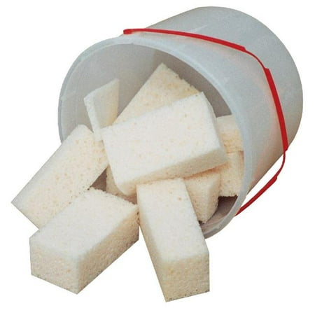 School Specialty 085851 Bucket & Sponge Assortment, 2 x 3 x 1 in.