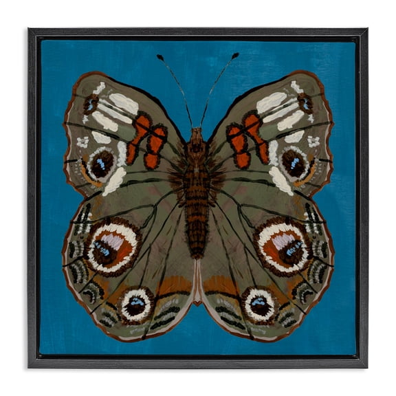 Stupell Industries Buckeye Butterfly Symmetry Black Framed Floater Canvas Wall Art, design by Kara Keller Designs, 18 x 18