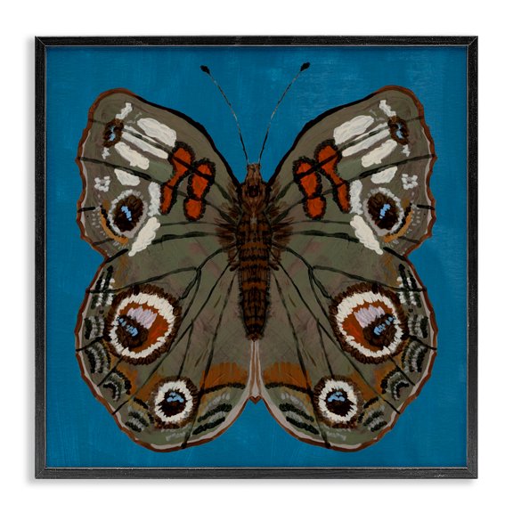 Stupell Industries Buckeye Butterfly Symmetry Black Framed Giclee Art, design by Kara Keller Designs, 12 x 12