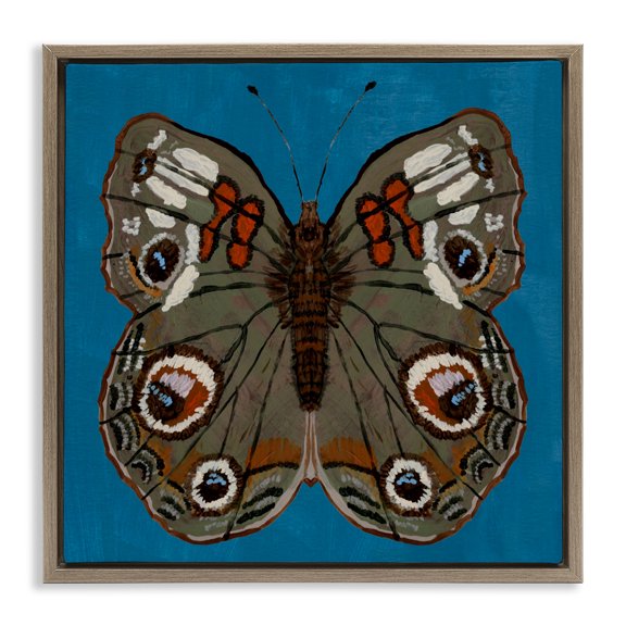 Stupell Industries Buckeye Butterfly Symmetry Brown Framed Floater Canvas Wall Art, design by Kara Keller Designs, 18 x 18