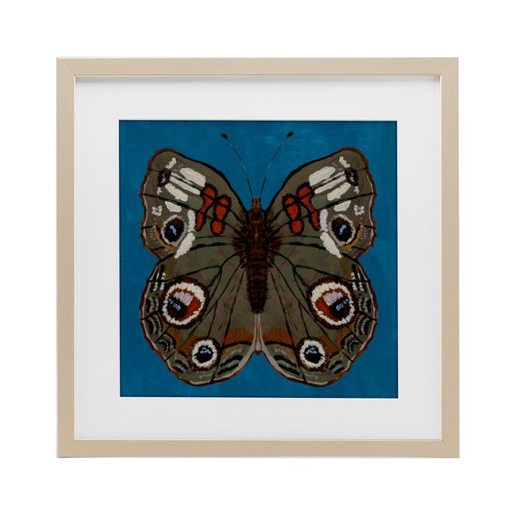 Stupell Industries Buckeye Butterfly Symmetry Birch Framed Print Under Glass, design by Kara Keller Designs, 13 x 13