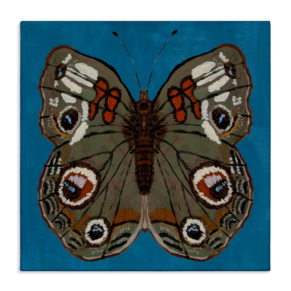 Stupell Industries Buckeye Butterfly Symmetry Canvas Wall Art, design by Kara Keller Designs, 17 x 17