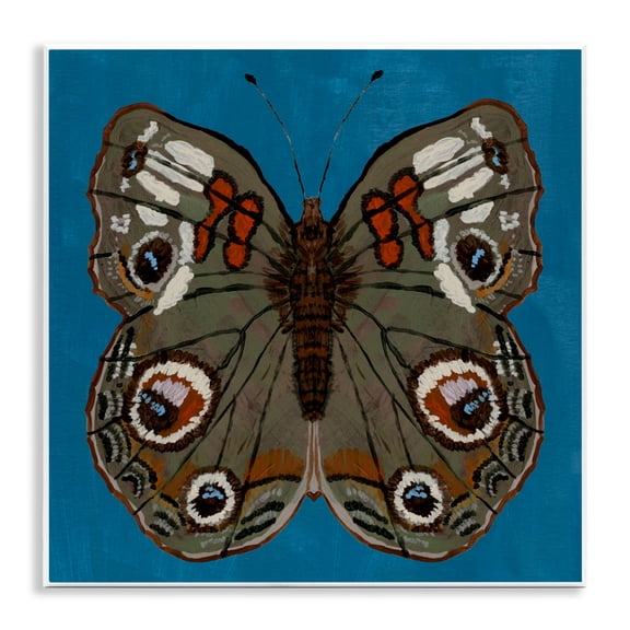 Stupell Industries Buckeye Butterfly Symmetry Wall Plaque Art, design by Kara Keller Designs, 12 x 12