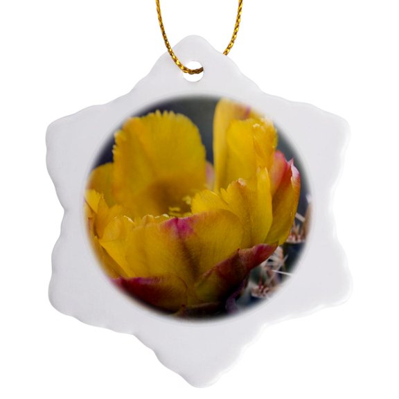3drose, Buckhorn Cholla Cactus Flower, Sonoran Desert Arizona - Us03 Fzu0011 - Frank Zurey, 3 inch Snowflake Porcelain Ornament