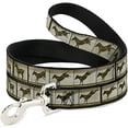 thumbnail image 1 of buckle down buckle-down pet dog or cat leash, 1 of 1